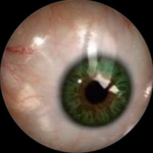 Meet your Posher, K3lcie